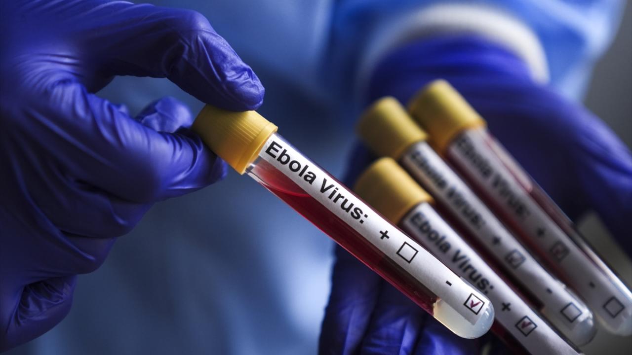 Kongo Demokratik Cumhuriyeti'nde Ebola vakaları 1561'e ulaştı