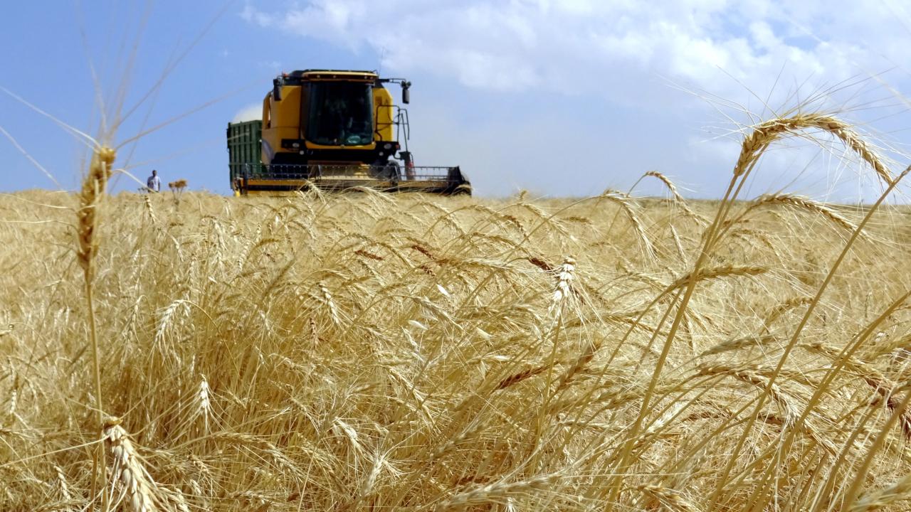 Kırsaldaki üreticilere 315,7 milyon liralık hibe desteği