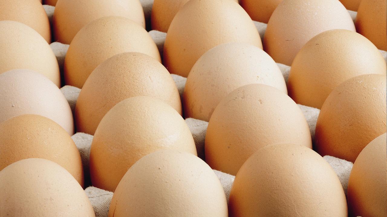 ABD'de salmonella riski nedeniyle 1,6 milyon düzine yumurta toplatılıyor