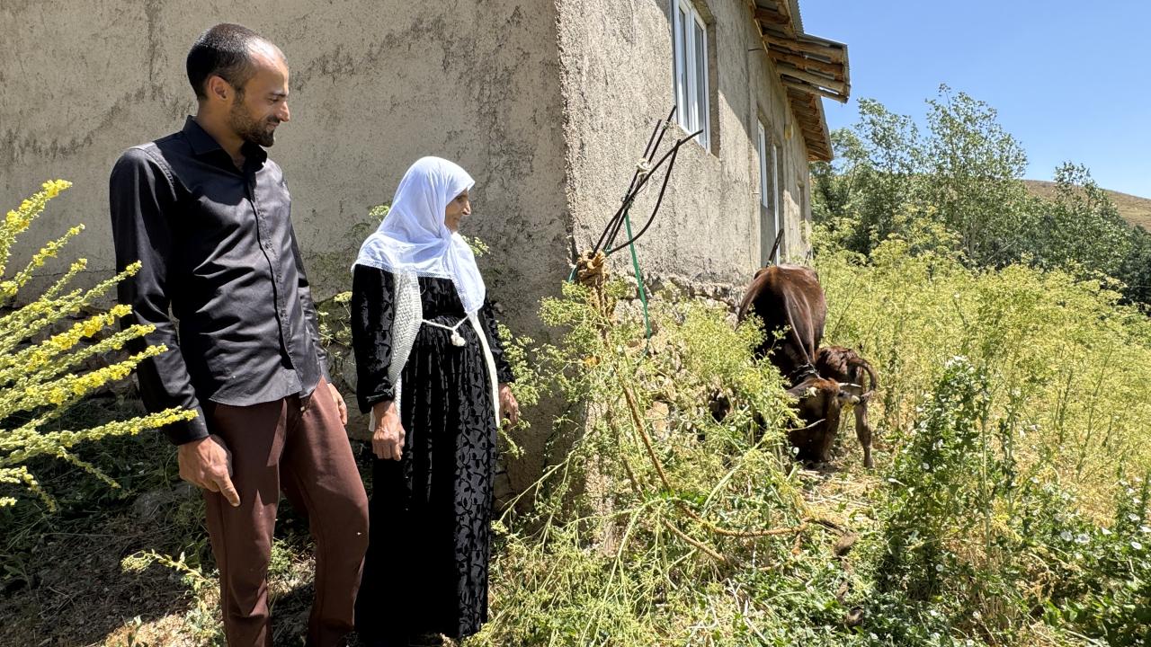 Yüksekova’da ineği telef olan aileye Kaymakam Hülür’den destek