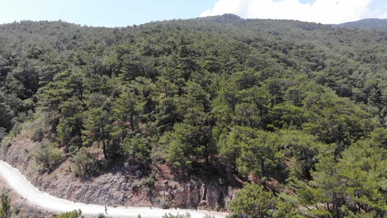 Çanakkale’de dört günlük yüksek orman yangını riski uyarısı